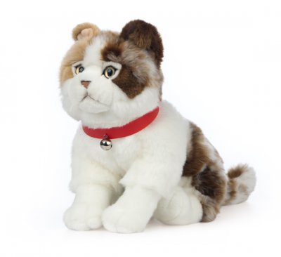 Katt mjukisdjur Scottish Fold Cat Living Nature x