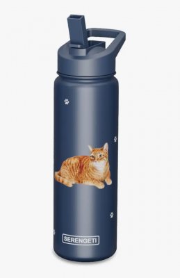 Katt orange tabby 3D flaska ca 700 ml Serengeti