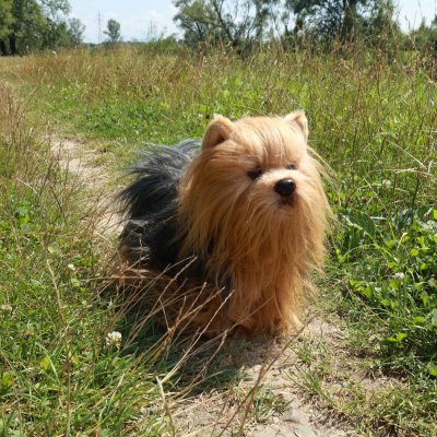 Yorkshireterrier mjukisdjur 30 cm Rappa