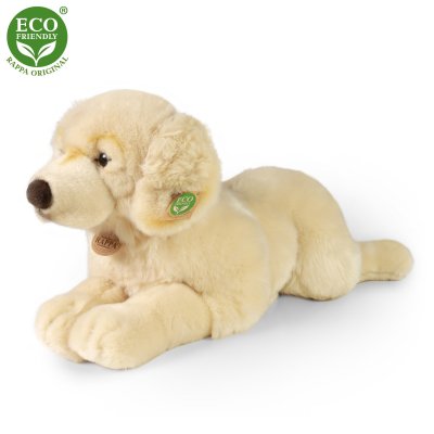 Golden retriever gosedjur
