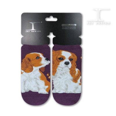 Cavalier king charles spaniel ankelstrumpor Masterpiece JHJ 1