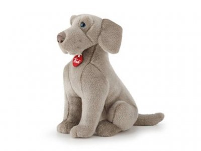 Weimaraner gosedjur