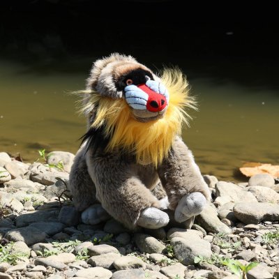 Apa mjukisdjur Mandrill 28 cm Rappa