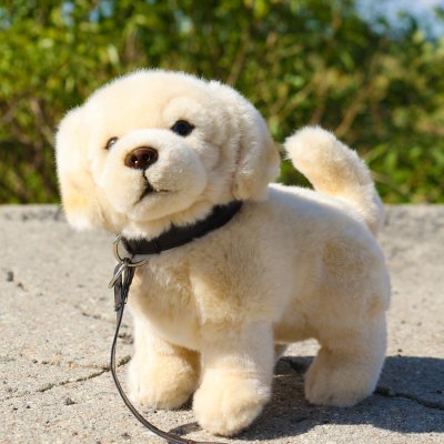 Golden retriever mjukisdjur med koppel 25 cm Rappa