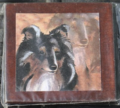 Collie- magnet 2