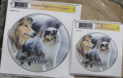 Collie- bildekaler från Frankrike
