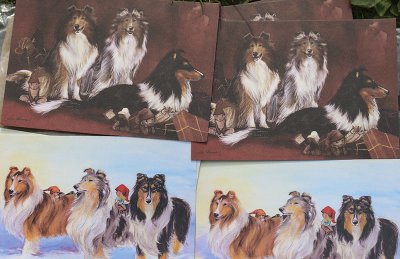Collie- julkort/vykort