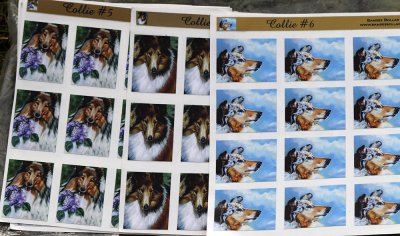 Collie- ministickers