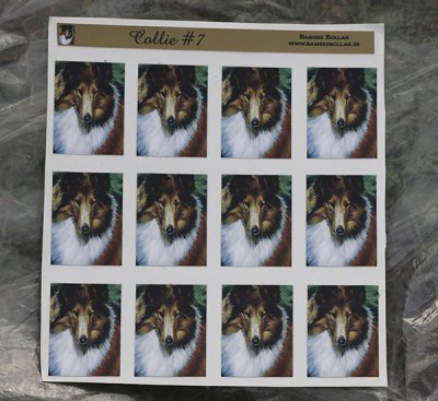 Collie- ministickers