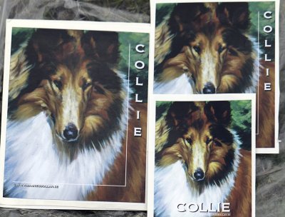 Collie- bildekaler Lee Ann 1