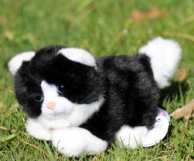 Katt mjukisdjur vit eller svartvit 17 cm Trudi x