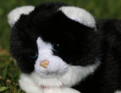Katt mjukisdjur vit eller svartvit 17 cm Trudi x