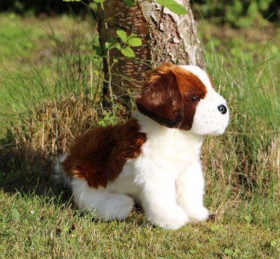 Sankt bernhardshund mjukisdjur Oma Douglas