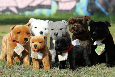 Staffordshire bullterrier mjukisdjur DJ Bocchetta p