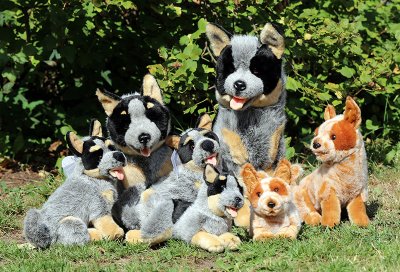 Australian cattledog mjukisdjur Blaze Bocchetta u