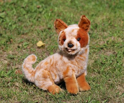 Australian cattledog mjukisdjur