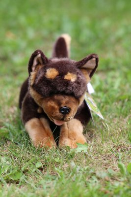 Australian kelpie mjukisdjur Gismo Bocchetta