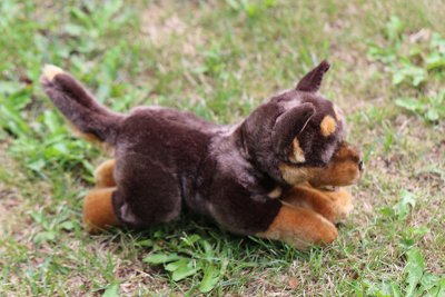 Australian kelpie mjukisdjur Gismo Bocchetta