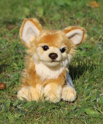 Chihuahua (långhårig) mjukisdjur, två färger