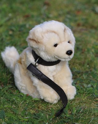 Golden retriever med koppel skällande eller ej mjukisdjur UNI