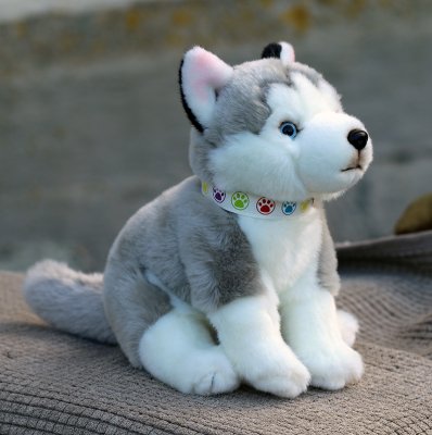 Siberian husky mjukisdjur large puppy LN u