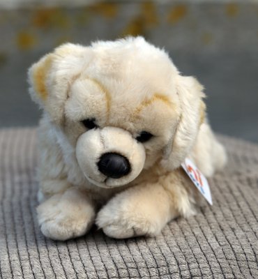 Golden retriever mjukisdjur