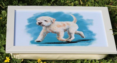 Lagotto romagnolo lap tray