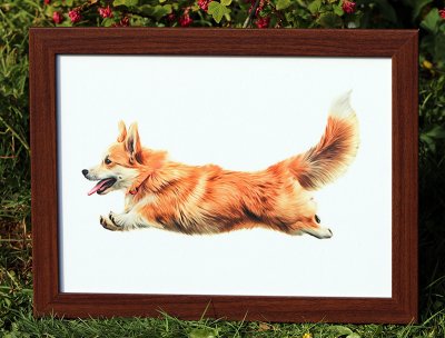 Welsh corgi pembroke bricka med kudde