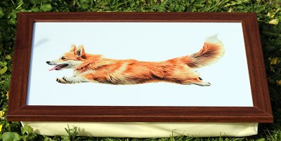 Welsh corgi pembroke bricka med kudde
