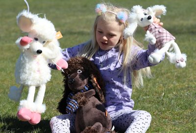 Orange Mollie the Poodle docka - pudel