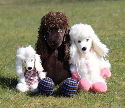 Orange Mollie the Poodle docka - pudel