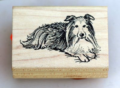 Collie- stämpel