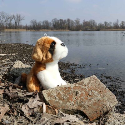 Sankt bernhardshund mjukisdjur 20 cm Rappa