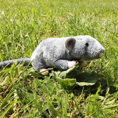 Mus mjukisdjur 20 cm Rappa