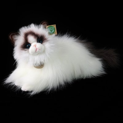 Katt ragdoll mjukisdjur 35 cm Rappa
