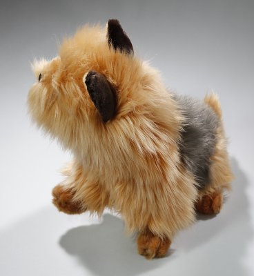 Australisk terrier mjukisdjur CD