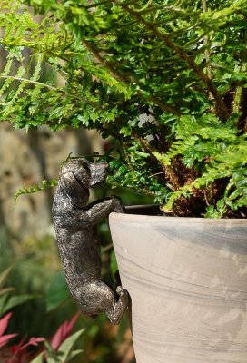 Tax (korthårig) Pot Buddy 1-pack