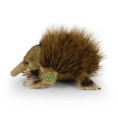 Myrpiggsvin mjukisdjur Echidna 24 cm Rappa