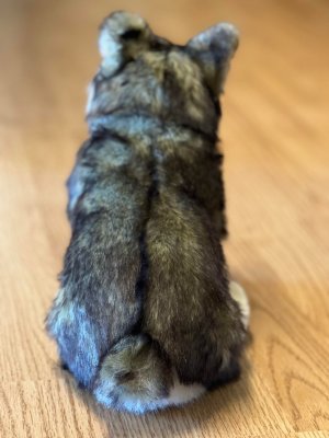 Västgötaspets mjukisdjur