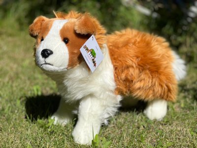 Border collie mjukisdjur Zelda 50 cm Auswella