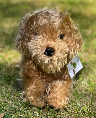 Labradoodle mjukisdjur Lila 43 cm Auswella
