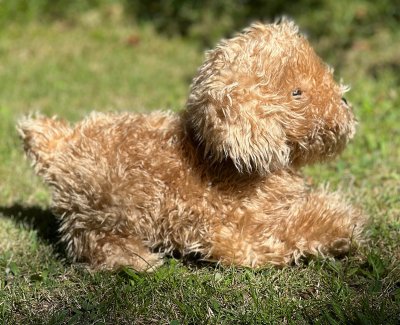 Labradoodle mjukisdjur Lila 43 cm Auswella