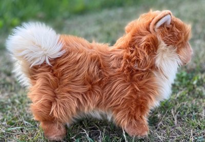 Pomeranian mjukisdjur Kibbles 40 cm Auswella