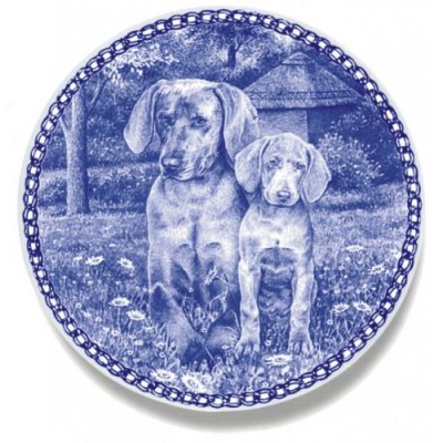 Weimaraner prydnadstallrik Lekven 3044