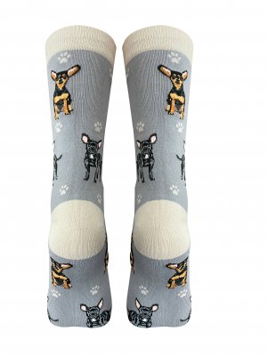 Chihuahua (korthårig) strumpor 1-pack ES 2