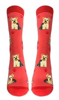 Yorkshireterrier strumpor 1-pack ES 1