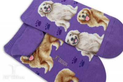 Golden retriever ankelstrumpor Masterpiece JHJ