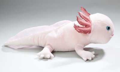 Axolotl mjukisdjur CD
