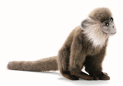 3648 Leaf Monkey Hansa