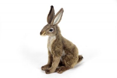 Kanin mjukisdjur 17 cm Jackrabbit 3747 Hansa